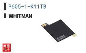 P605-1-K11TB ͼƬ